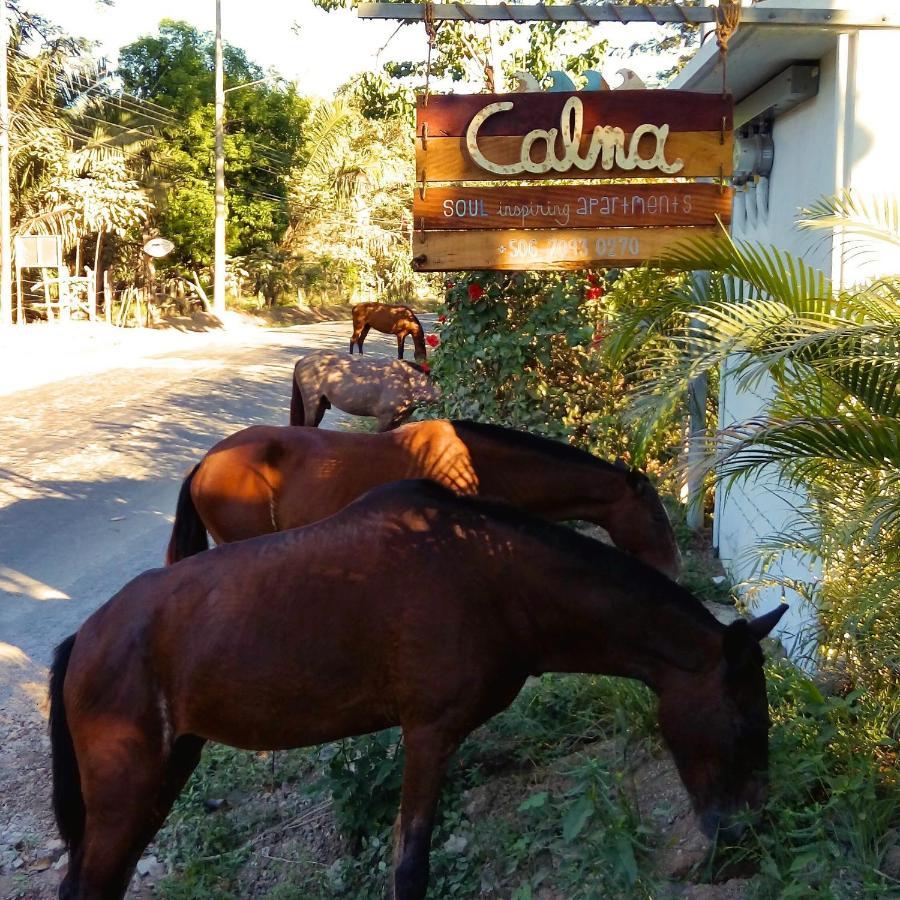 Calma Apartments Costa Rica Malpais Exterior foto